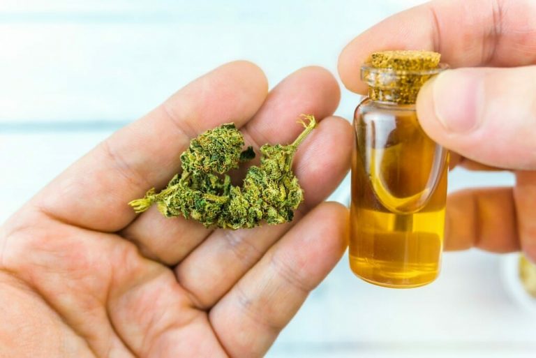 CBD Oil