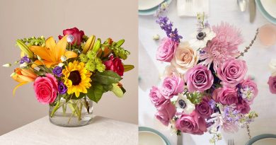 Now You Can Start Your Own Business As Cheap Online Florist