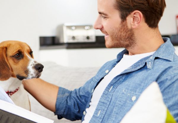 What Is The Difference Between House Sitting And Pet Sitting