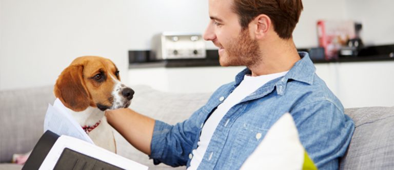 What Is The Difference Between House Sitting And Pet Sitting
