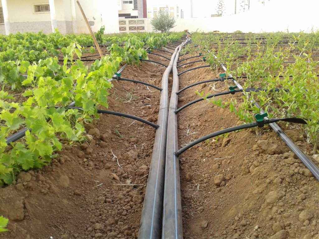 irrigation supplies and systems