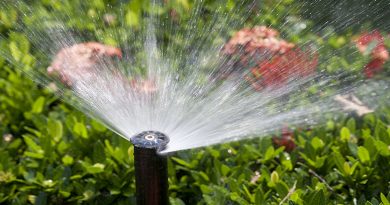 Important Things to Know About Irrigation System