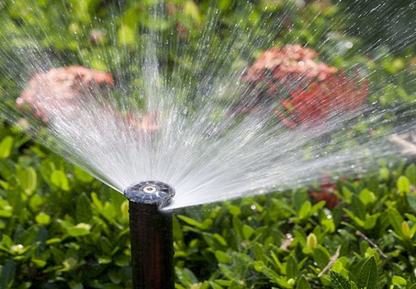 Important Things to Know About Irrigation System