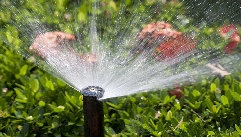 Important Things to Know About Irrigation System