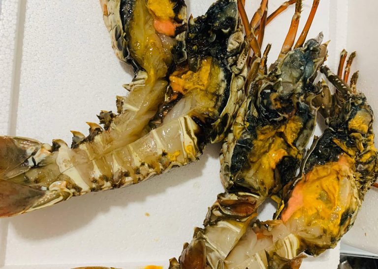 where to buy lobster singapore