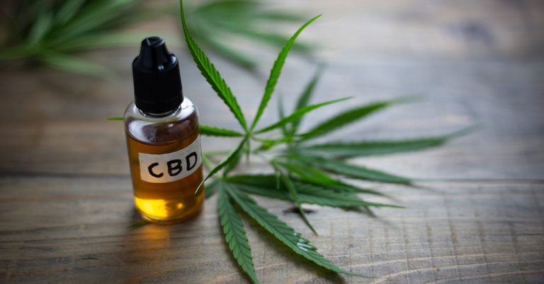 Best CBD oil brands
