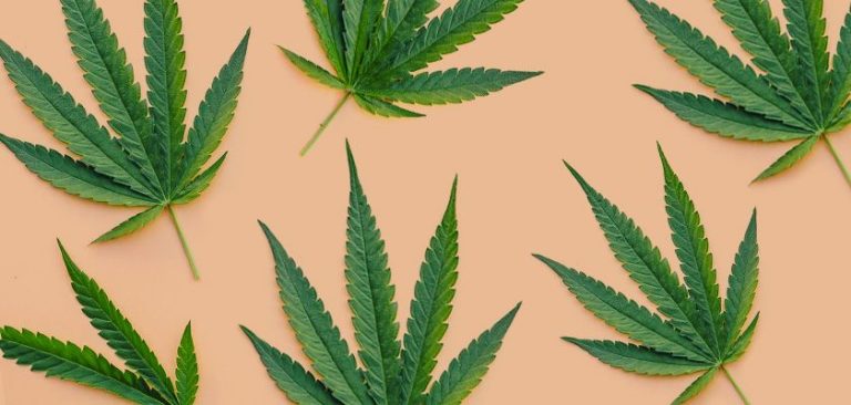 The Health Benefits of Delta-8 Cannabis