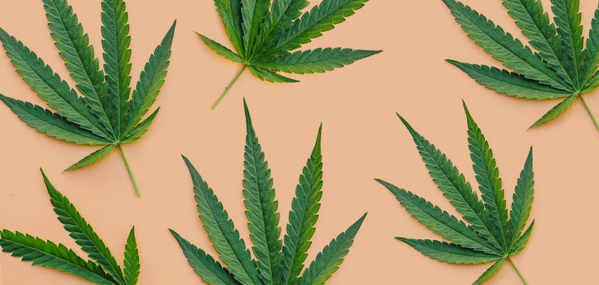 The Health Benefits of Delta-8 Cannabis