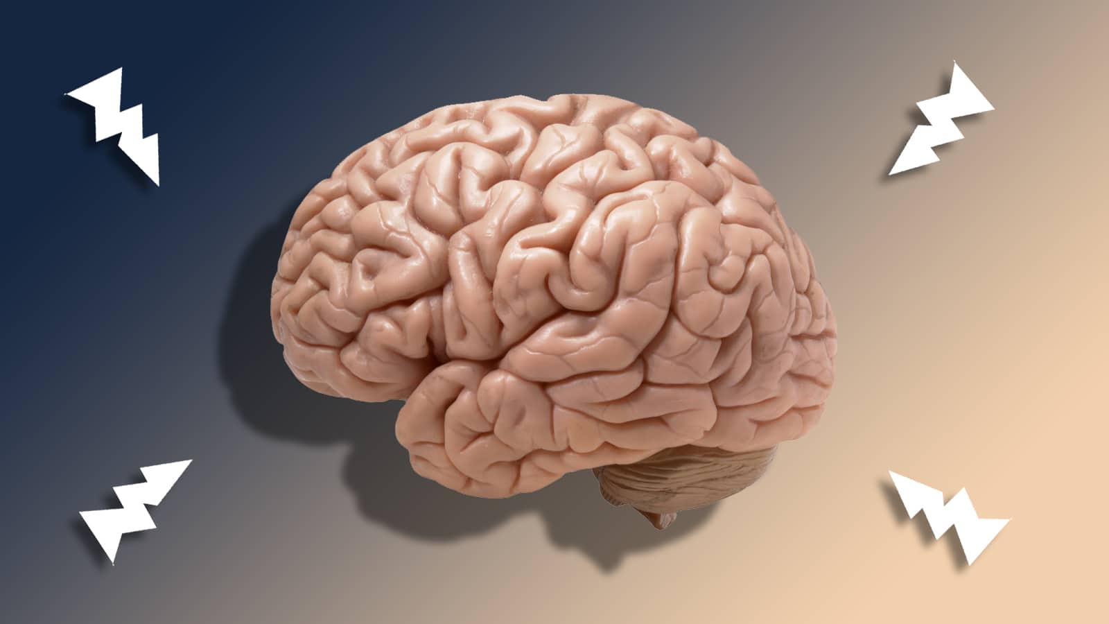 How to Choose the Best Nootropics