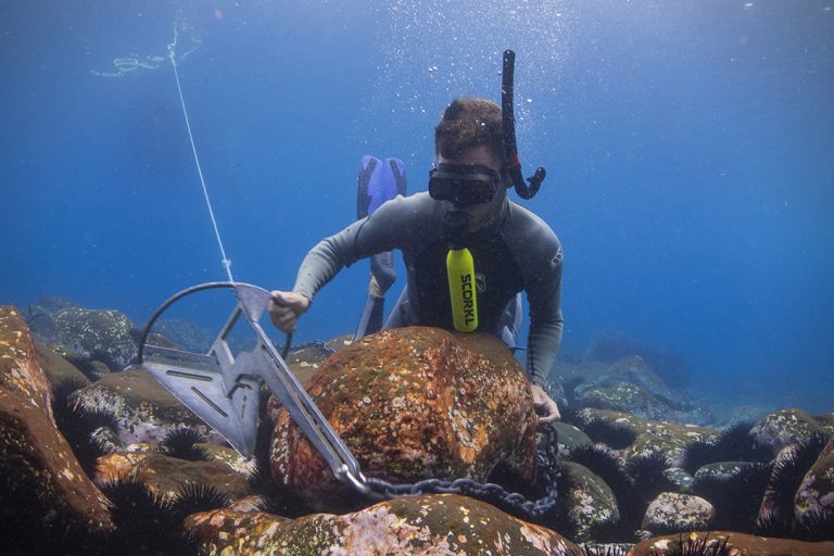 Buying The Best Underwater Freedom Equipment