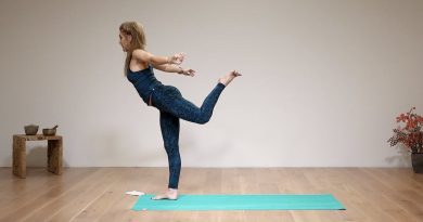 bird of paradise yoga