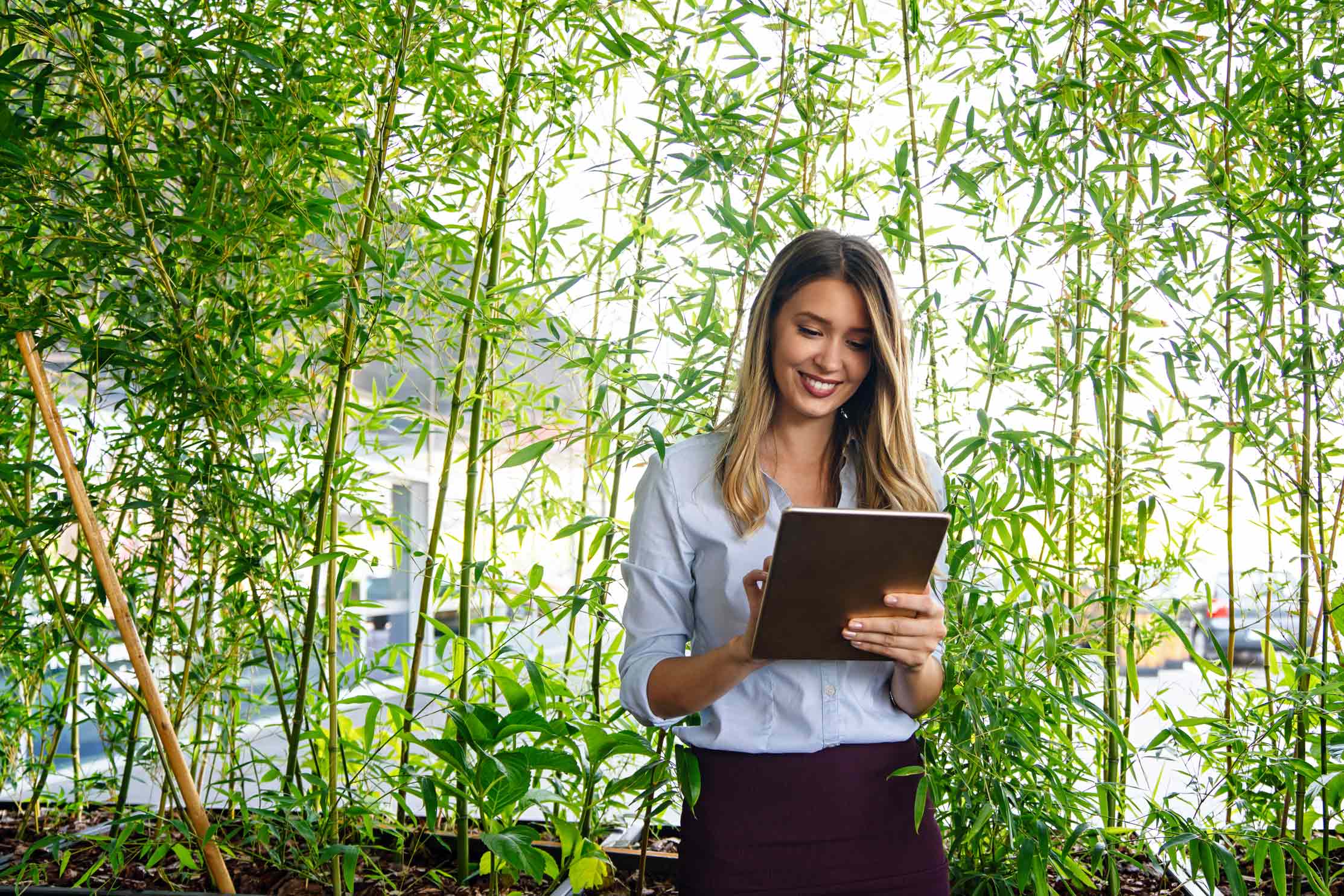 Top Career Paths for Graduates in Sustainable Tourism and Hospitality