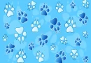 paw prints