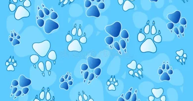 paw prints