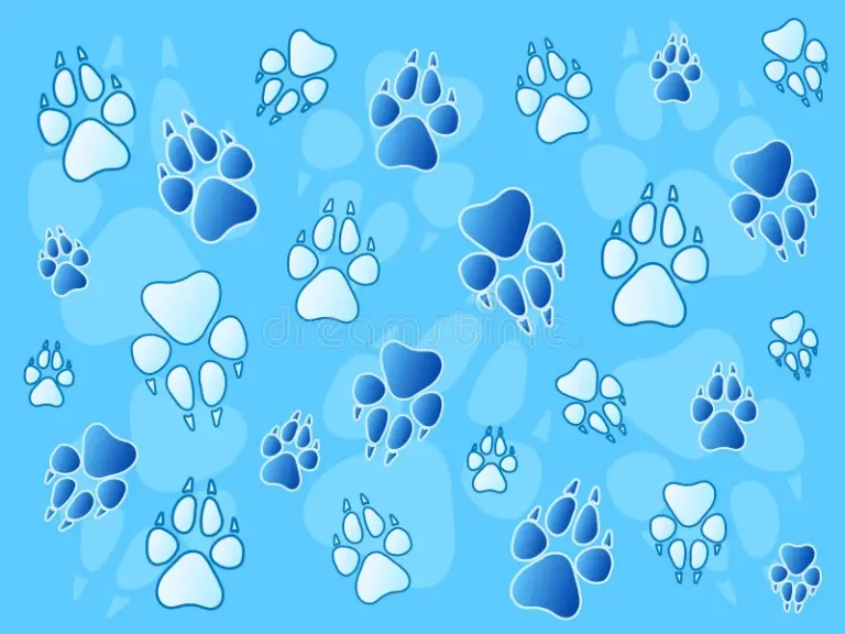 paw prints
