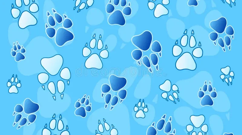 paw prints