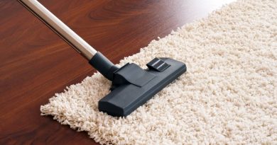 Carpet Cleaning and Maintenance