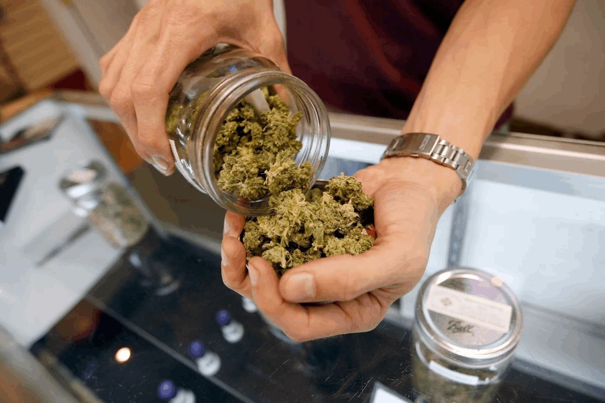 Might Cannabis