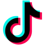 tiktok marketing budget