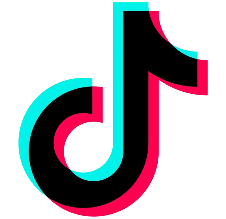 tiktok marketing budget